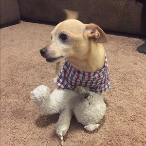 Meet your Posher, Veronica